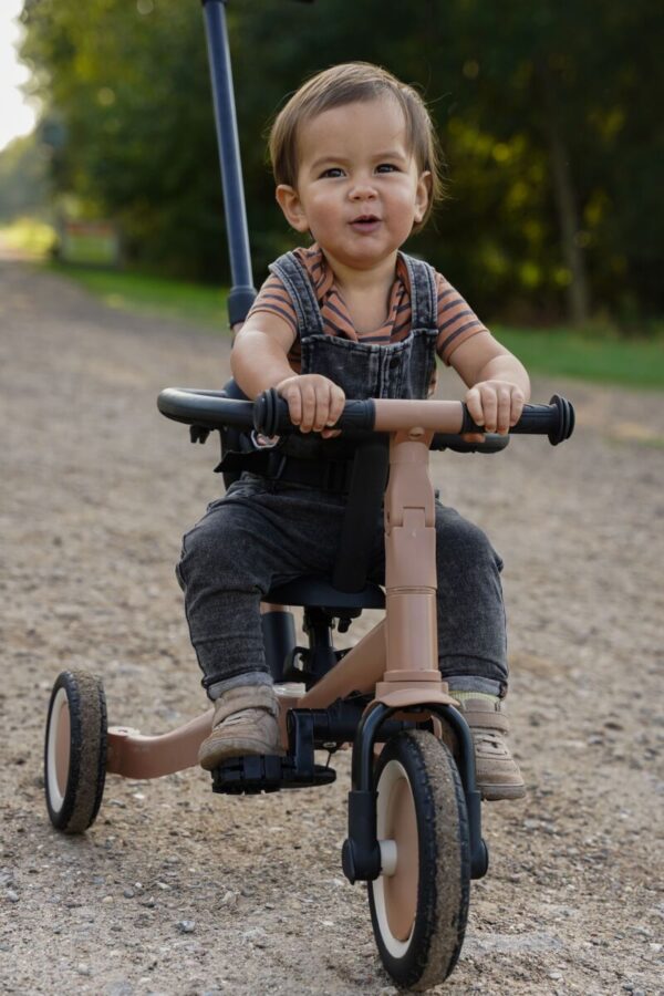 Kaya transformējams trīsritenis, 4 in 1 tricycle, LIO Macchiato, Topmark