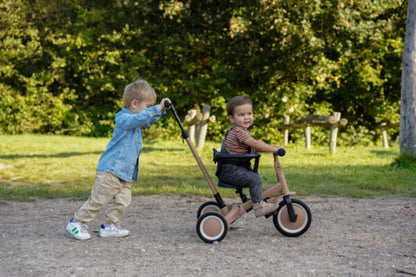 Kaya transformējams trīsritenis, 4 in 1 tricycle, LIO Macchiato, Topmark